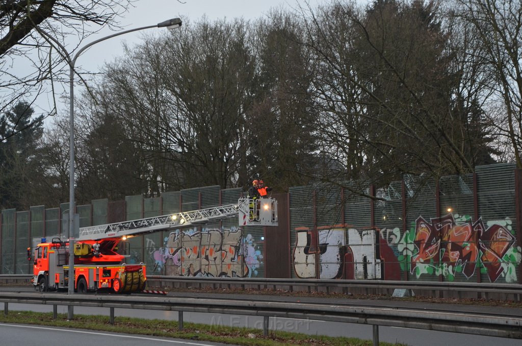 Einsatz BF Baum Koeln Vingst Vingster Ring P07.JPG - Miklos Laubert